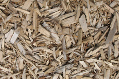 biomass boilers Birtle